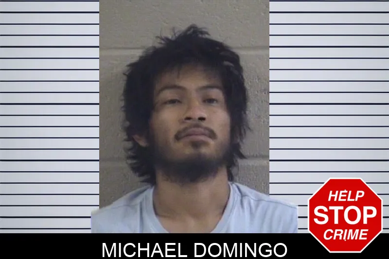 Michael Domingo mugshot – Whitfield County , Georgia Michael Domingo mugshot