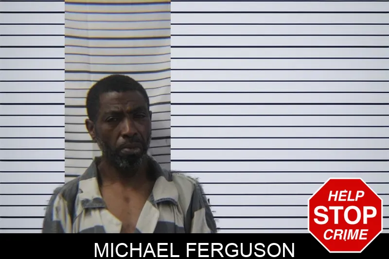 Michael Ferguson mugshot – Stephens County , Georgia Michael Ferguson mugshot