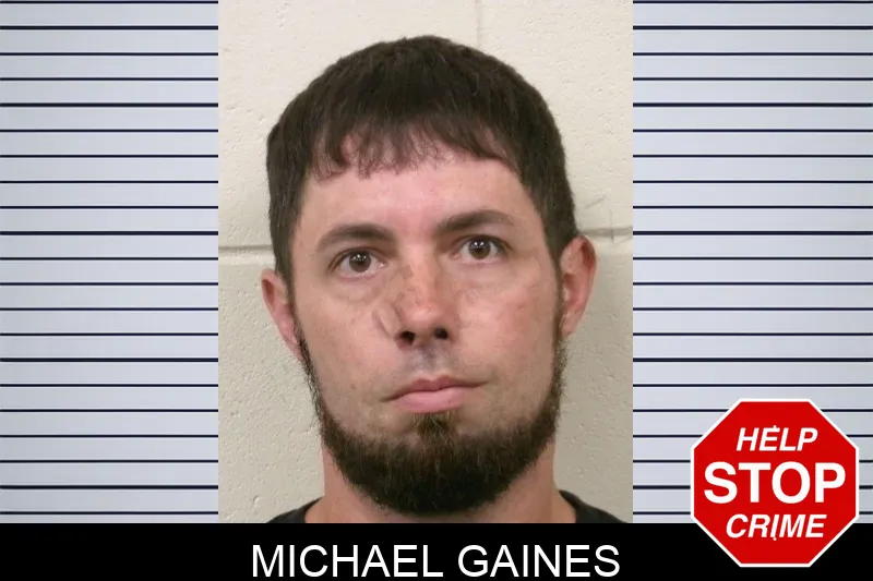 Michael Gaines mugshot – Bulloch County , Georgia Michael Gaines mugshot