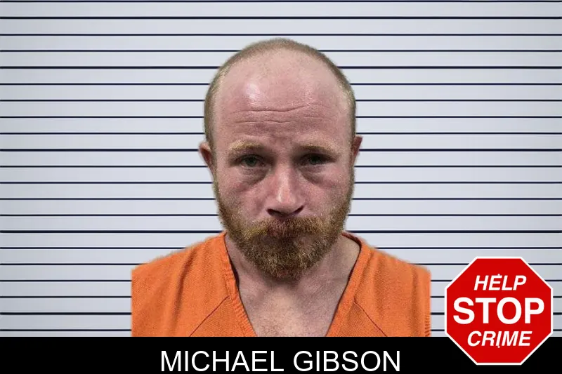 Michael Gibson mugshot