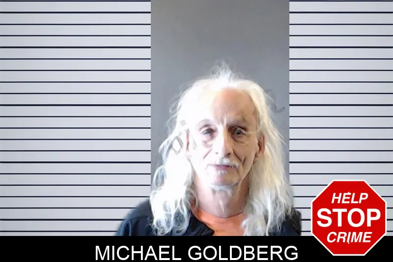 Michael Goldberg mugshot – DeKalb County , Georgia Michael Goldberg mugshot