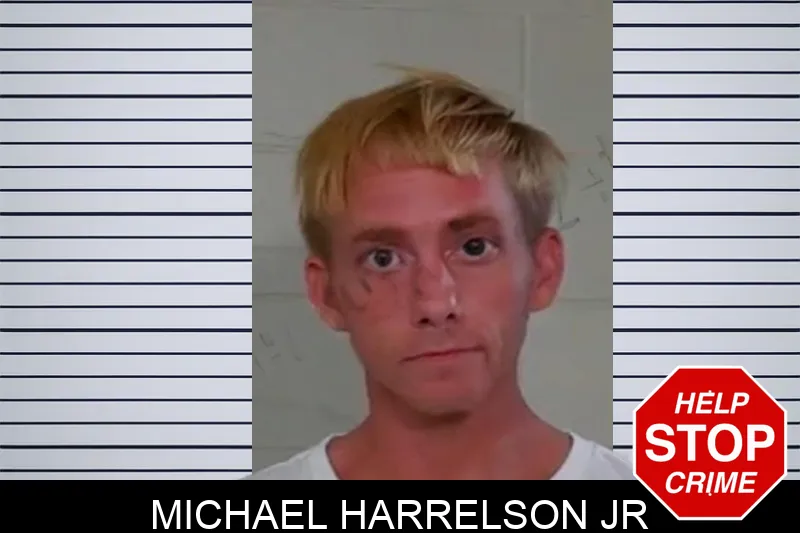 Michael Harrelson Jr mugshot – Liberty County , Georgia Michael Harrelson Jr mugshot