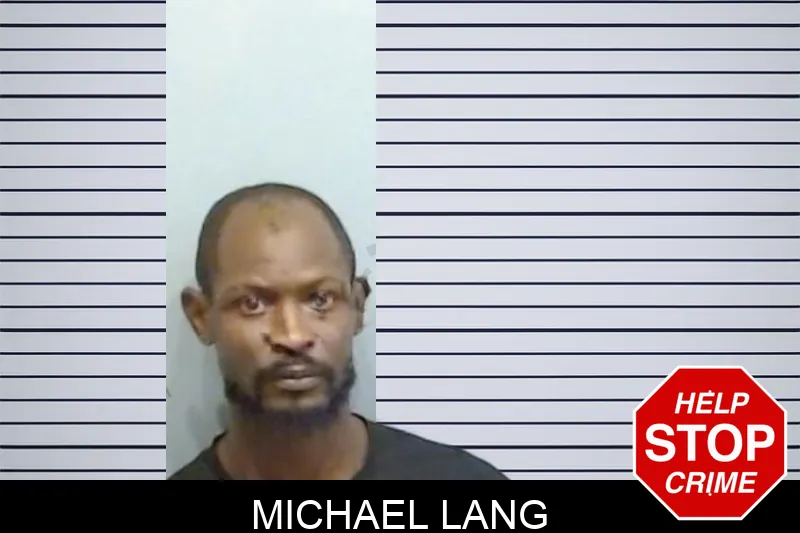 Michael Lang mugshot – Fulton County , Georgia Michael Lang mugshot
