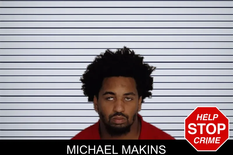 Michael Makins mugshot
