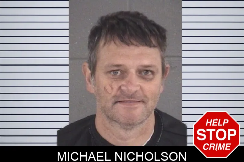 Michael Nicholson mugshot