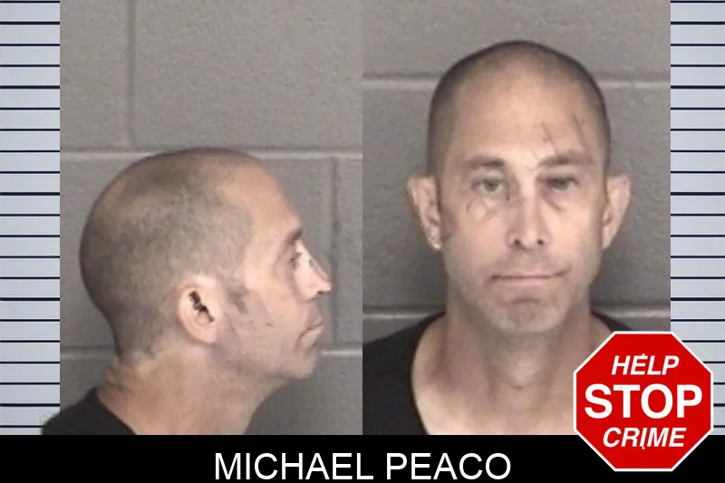 Michael Peaco mugshot – Barrow County , Georgia Michael Peaco mugshot
