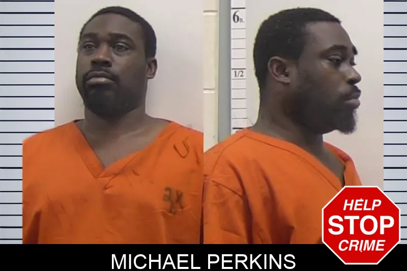 Michael Perkins mugshot