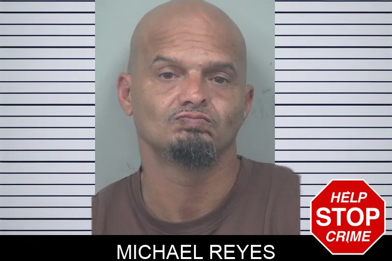 Michael Reyes mugshot – Gwinnett County , Georgia Michael Reyes mugshot