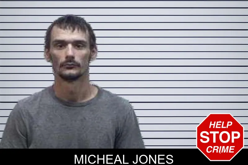 Micheal Jones mugshot – Tattnall County , Georgia Micheal Jones mugshot