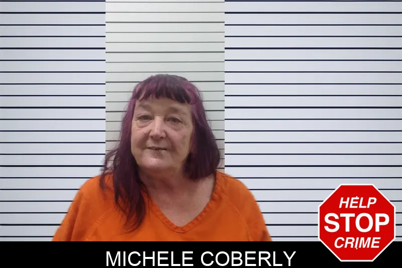 Michele Coberly mugshot – Pickens County , Georgia Michele Coberly mugshot