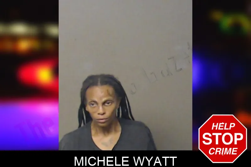 Michele Wyatt mugshot
