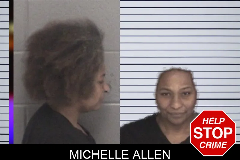 Michelle Allen mugshot – Barrow County , Georgia Michelle Allen mugshot