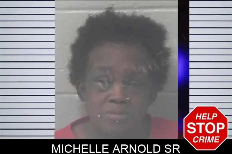 Michelle Arnold Sr mugshot – Newton County , Georgia Michelle Arnold Sr