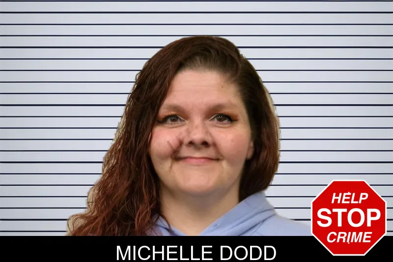 Michelle Dodd mugshot – Bulloch County , Georgia Michelle Dodd mugshot