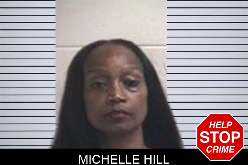 Michelle Hill mugshot – Henry County , Georgia Michelle Hill mugshot
