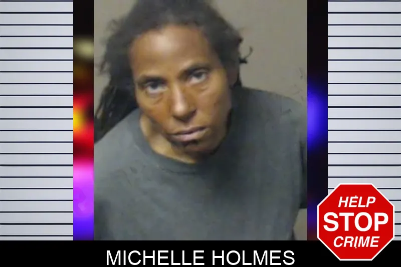 Michelle Holmes mugshot – DeKalb County , Georgia Michelle Holmes mugshot
