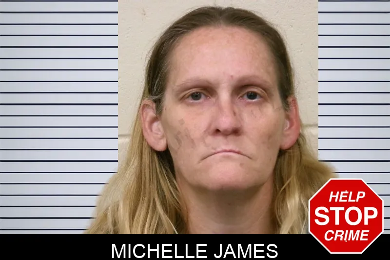 Michelle James mugshot – Bulloch County , Georgia Michelle James mugshot