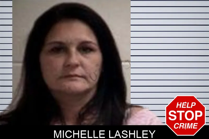 Michelle Lashley mugshot – Henry County , Georgia Michelle Lashley mugshot