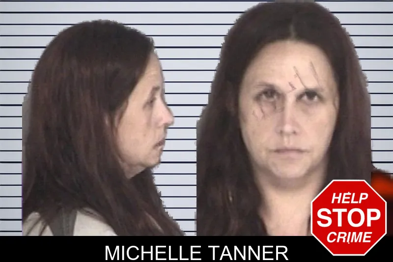 Michelle Tanner mugshot – Barrow County , Georgia Michelle Tanner mugshot