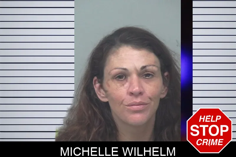 Michelle Wilhelm mugshot – Gwinnett County , Georgia Michelle Wilhelm mugshot