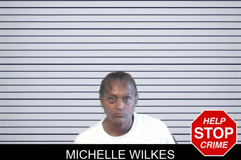 Michelle Wilkes mugshot
