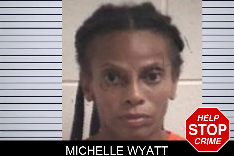 Michelle Wyatt mugshot