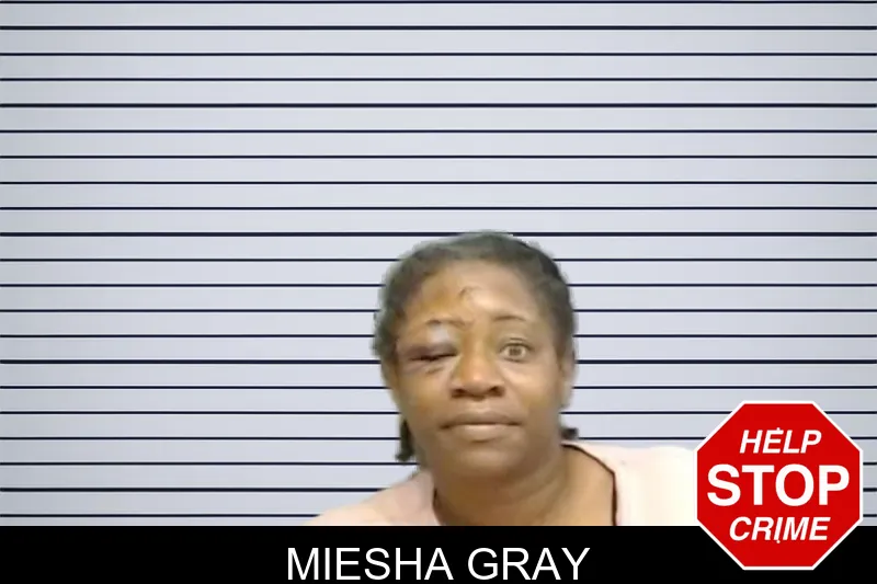 Miesha Gray mugshot – Fulton County , Georgia Miesha Gray mugshot