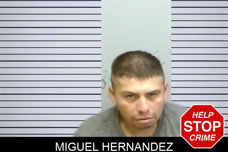 Miguel Hernandez mugshot