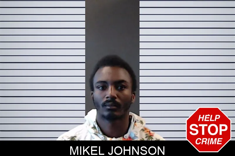 Mikel Johnson mugshot