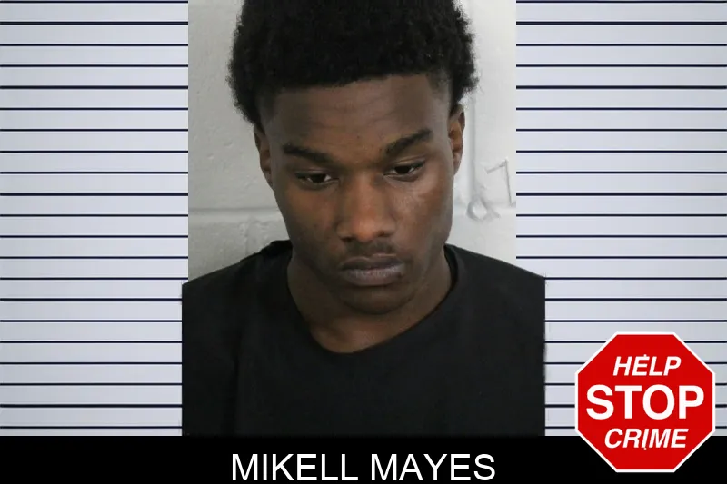 Mikell Mayes mugshot
