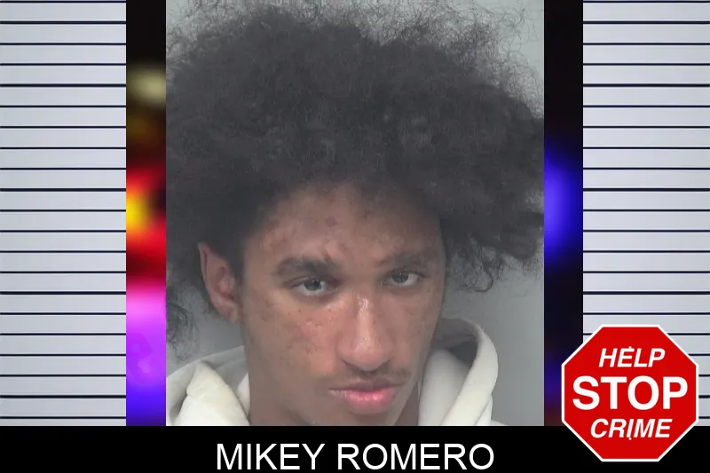 Mikey Romero mugshot – Gwinnett County , Georgia Mikey Romero mugshot