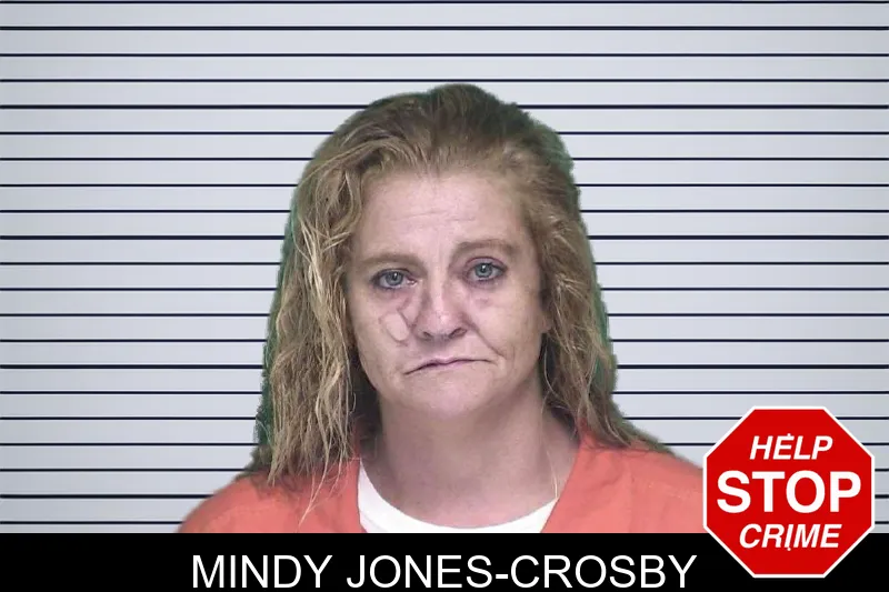Mindy Jones-Crosby mugshot – Appling County , Georgia Mindy Jones-Crosby mugshot