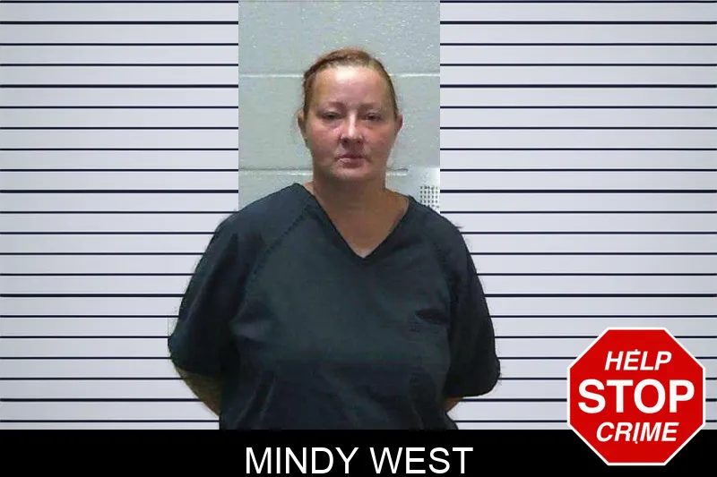 Mindy West mugshot – Gilmer County , Georgia Mindy West mugshot