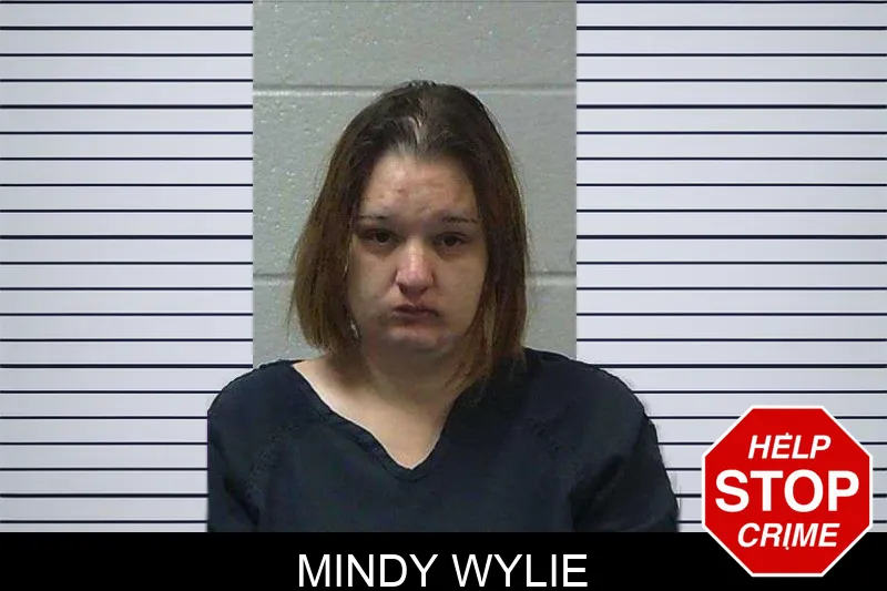 Mindy Wylie mugshot