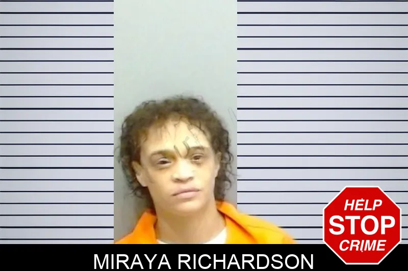 Miraya Richardson mugshot – Fulton County , Georgia Miraya Richardson mugshot