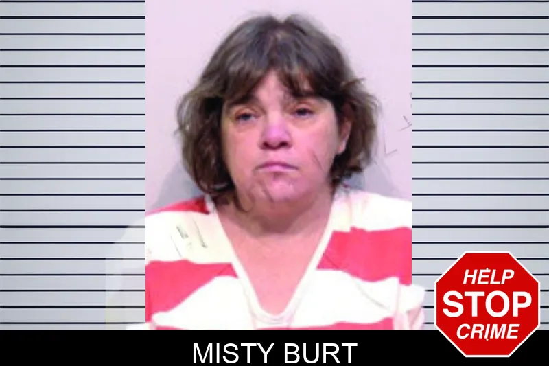 Misty Burt mugshot – Bartow County , Georgia Misty Burt mugshot