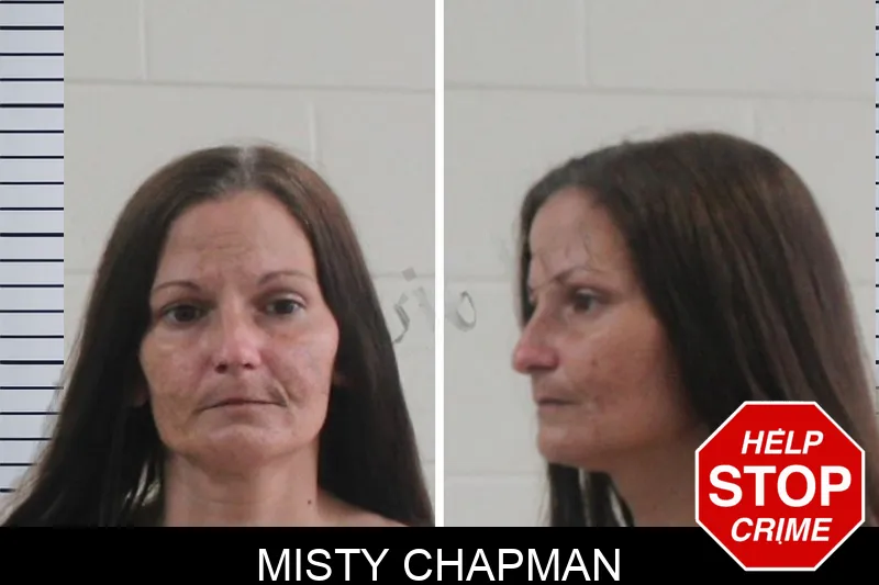 Misty Chapman mugshot – Houston County , Georgia Misty Chapman mugshot