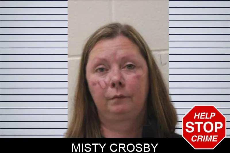 Misty Crosby mugshot – Jones County , Georgia Misty Crosby mugshot