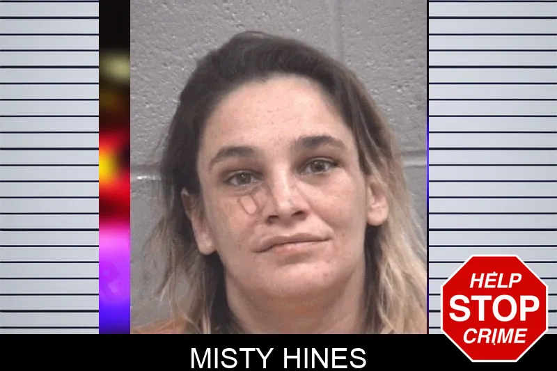 Misty Hines mugshot – Columbia County , Georgia Misty Hines mugshot