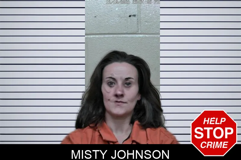 Misty Johnson mugshot – Ben Hill County , Georgia Misty Johnson mugshot