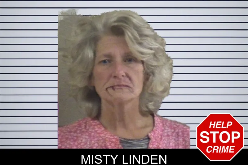 Misty Linden mugshot – Whitfield County , Georgia Misty Linden mugshot