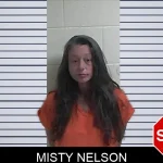 Misty Nelson mugshot – Fannin County , Georgia Misty Nelson mugshot