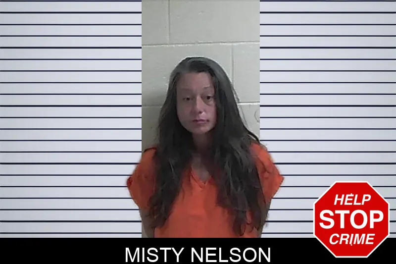 Misty Nelson mugshot – Fannin County , Georgia Misty Nelson mugshot