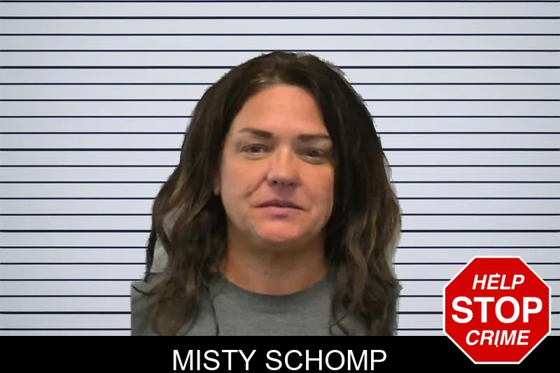 Misty Schomp mugshot – Ware County , Georgia Misty Schomp mugshot
