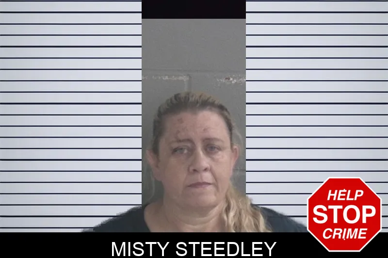 Misty Steedley mugshot