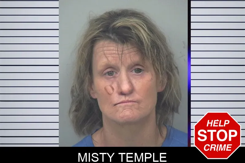 Misty Temple mugshot – Gwinnett County , Georgia Misty Temple mugshot