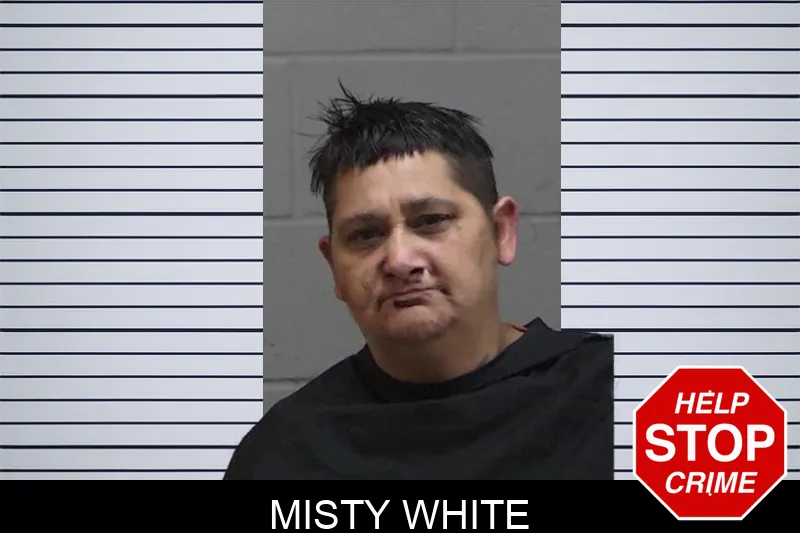 Misty White mugshot