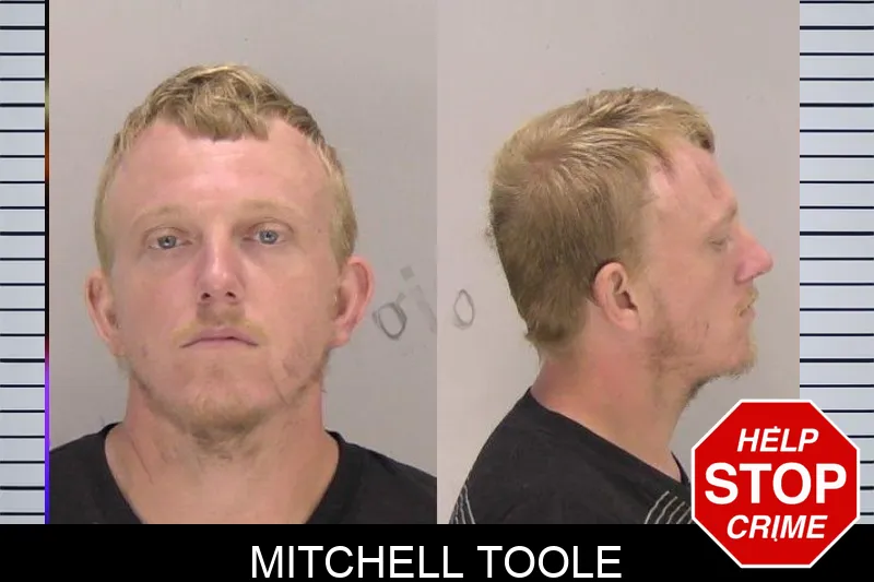 Mitchell Toole mugshot