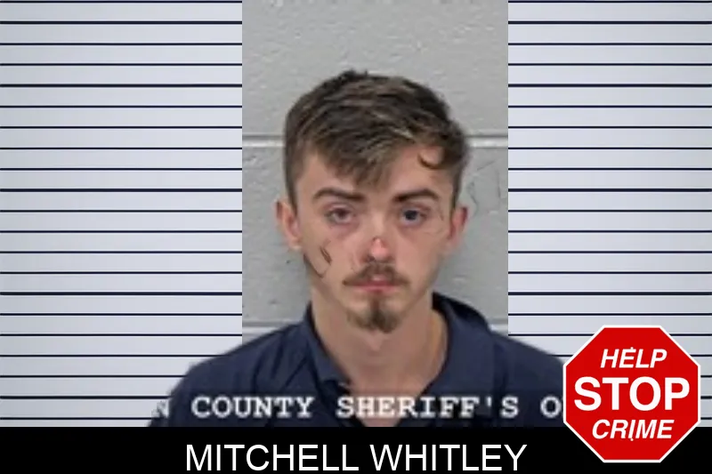 Mitchell Whitley mugshot – Walton County , Georgia Mitchell Whitley mugshot