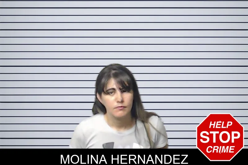 Molina Hernandez mugshot – DeKalb County , Georgia Molina Hernandez mugshot